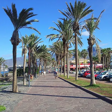 Schoenes Casa Palmera 3 Mit Balkon * 美洲海滩